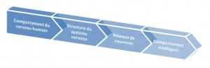 Les_réseaux_de_neurones_-_comportement_intelligent